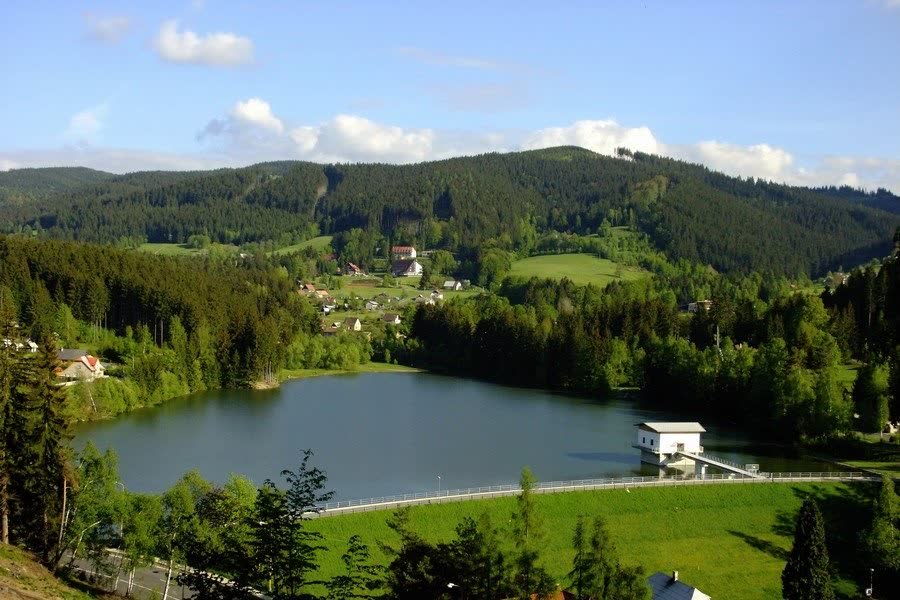 Vyžití
